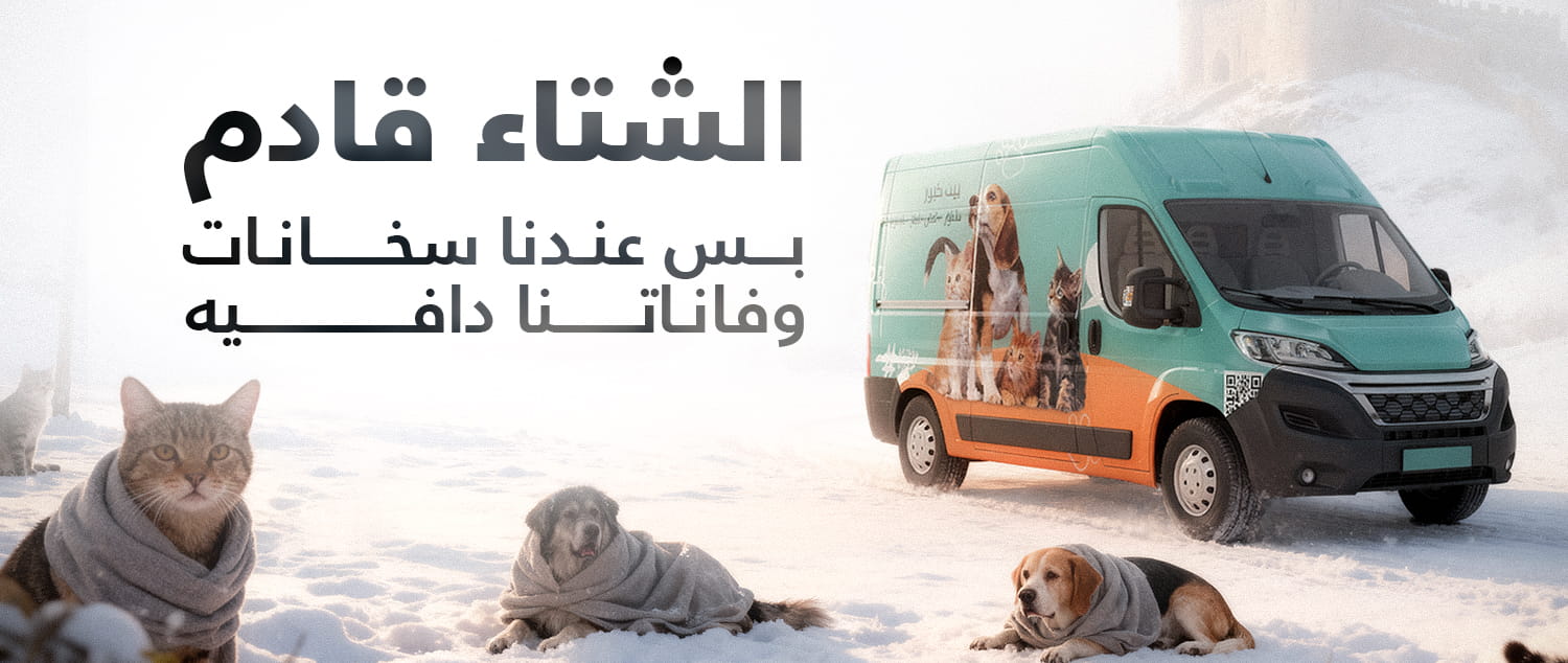 مساحة مشتركة
